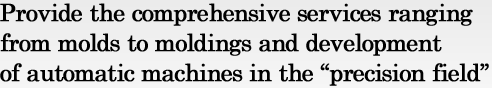 Provide the comprehensive services ranging from molds to moldings and development of automatic machines in the "precision field"