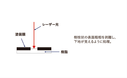 塗装＋トリミング